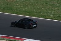 IMG_0195